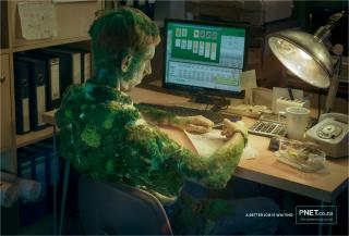 PNet (The Job Portal): Moss